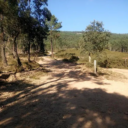 Quintinha Da Amizade