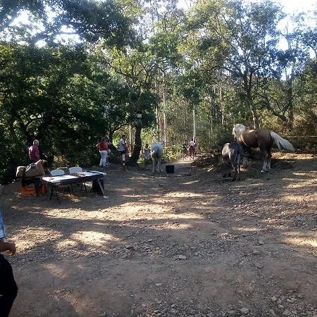 Quintinha Da Amizade * Campo (Porto)