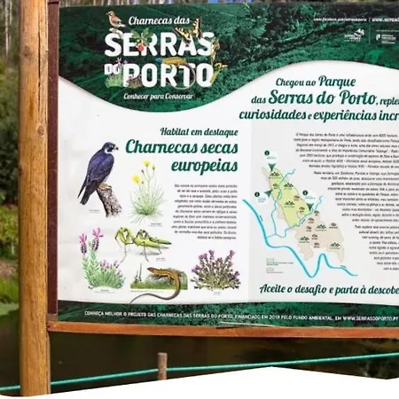 Panzió Quintinha Da Amizade Campo (Porto)