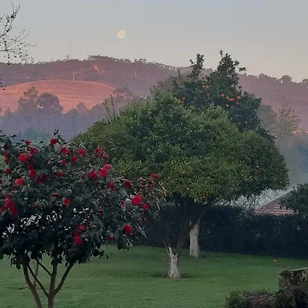 Quintinha Da Amizade Panzió Campo (Porto)